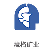 币游国际最新官网合作伙伴：藏格矿业