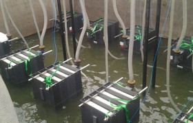 发电厂垃圾渗滤液水质特点是什么？
